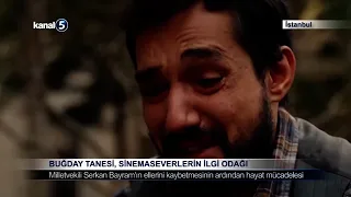 Buğday Tanesi, Sinemaseverlerin İlgi Odağı