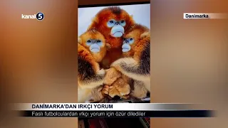 Danimarka’dan Irkçı Yorum