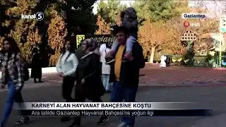 Karneyi Alan Hayvanat Bahçesine Koştu