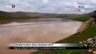 4 Yıldır Kurak Göle Buğday Ekti