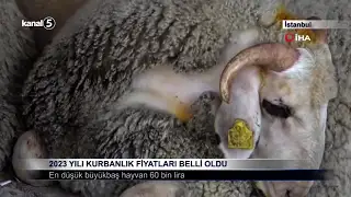 2023 Yılı Kurbanlık Fiyatları Belli Oldu