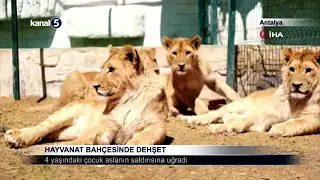 Hayvanat Bahçesinde Dehşet