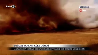 Buğday Tarlası Küle Döndü