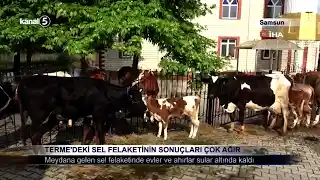 Terme’deki Sel Felaketinin Sonuçları Çok Ağır
