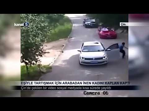 Eşiyle Tartışmak İçin Arabadan İnen Kadını Kaplan Kaptı