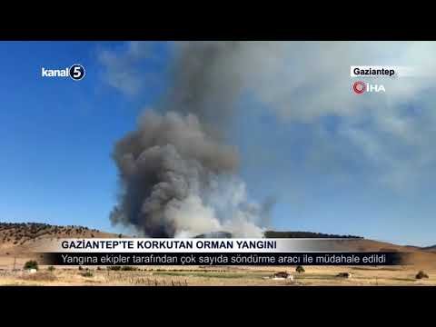 Gaziantep’te Korkutan Orman Yangını