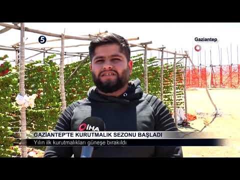 Gaziantep’te Kurutmalık Sezonu Başladı