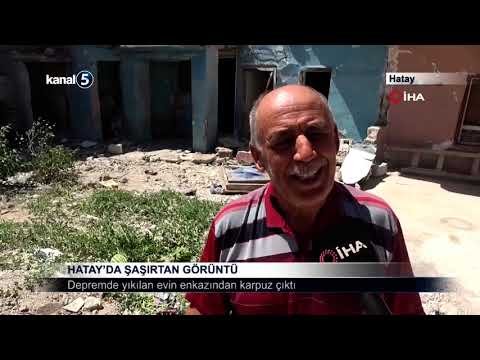Hatay’da Şaşırtan Görüntü