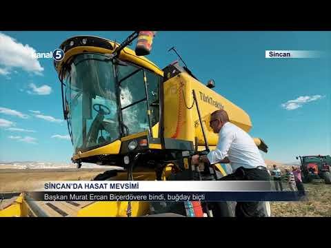 Sincan’da hasat mevsimi