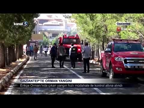 Gaziantep’te Orman Yangını