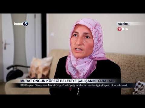 Murat Ongun Köpeği Belediye Çalışanını Yaraladı