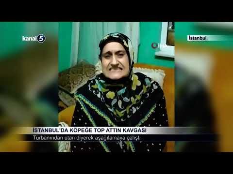 İstanbul’da Köpeğe Top Attın Kavgası
