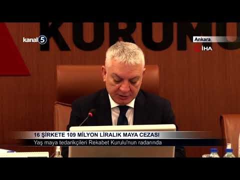 16 Şirkete 109 Milyon Liralık Maya Cezası