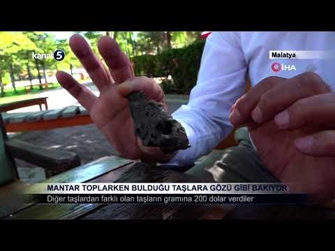 Mantar Toplarken Bulduğu Taşlara Gözü Gibi Bakıyor