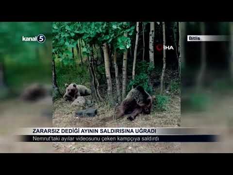 Zararsız Dediği Ayının Saldırısına Uğradı