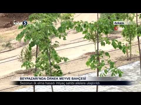 Beypazarı’nda Örnek Meyve Bahçesi