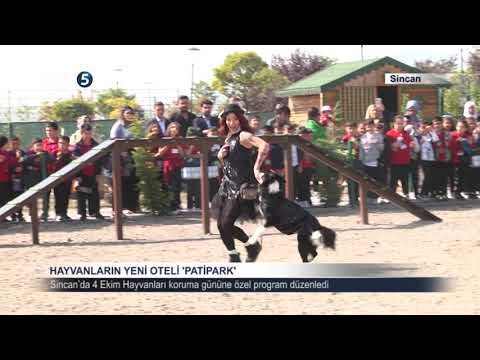 Hayvanların yeni oteli ‘Patipark’