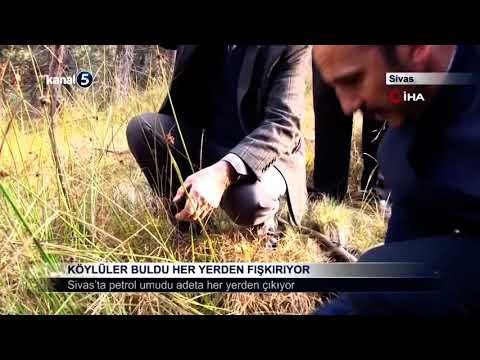 Köylüler Buldu Her Yerden Fışkırıyor