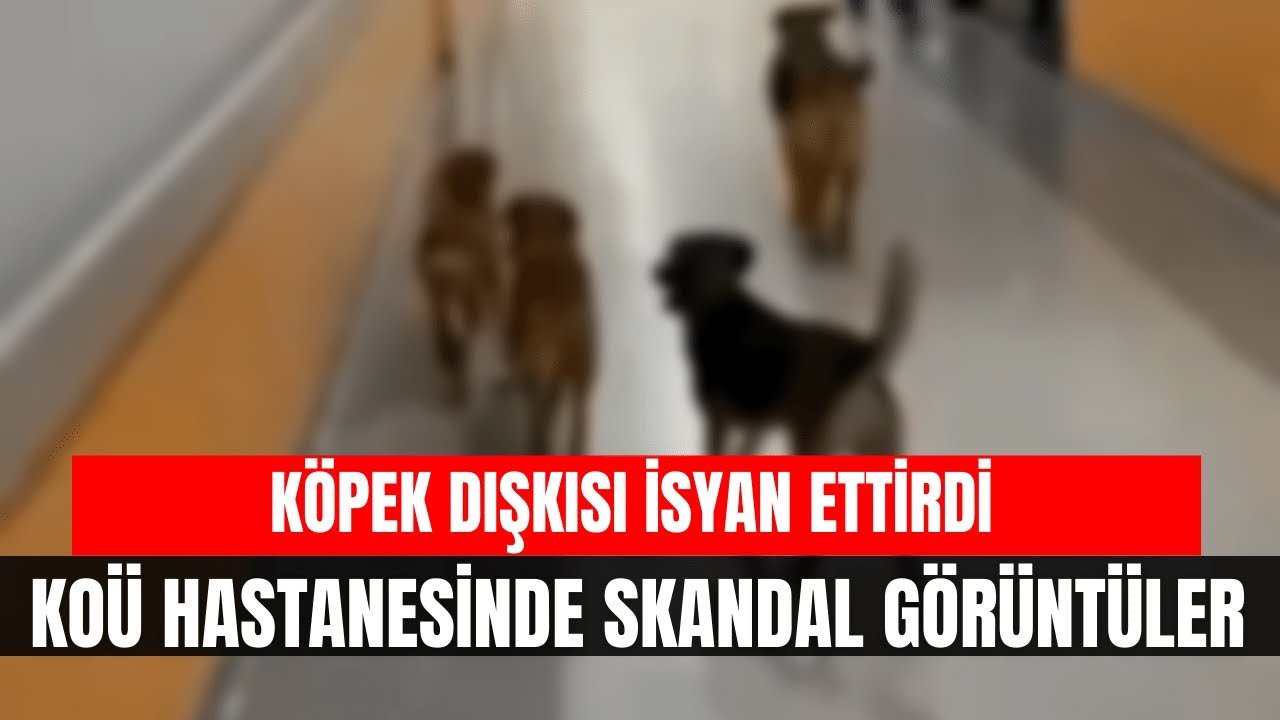 KOÜ Hastanesinde Skandal Görüntüler