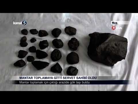 Mantar Toplamaya Gitti Servet Sahibi Oldu