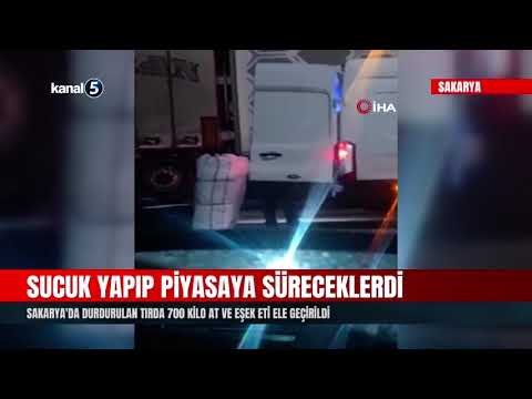 Sucuk Yapıp Piyasaya Süreceklerdi| Sakarya’da Durdurulan Tırda 700 Kilo At ve Eşek Eti Ele Geçirildi