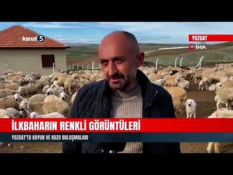 İlkbaharın Renkli Görüntüleri