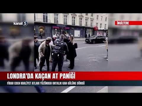 Londra’da Kaçan At Paniği