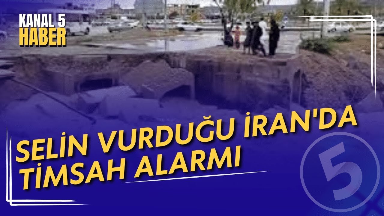 Selin Vurduğu İran’da Timsah Alarmı