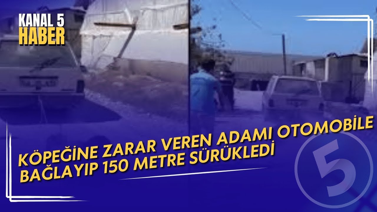 Antalya’da İnsanlık Dışı Olay