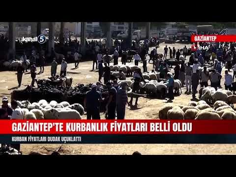 Gaziantep’te Kurbanlık Fiyatları Belli Oldu
