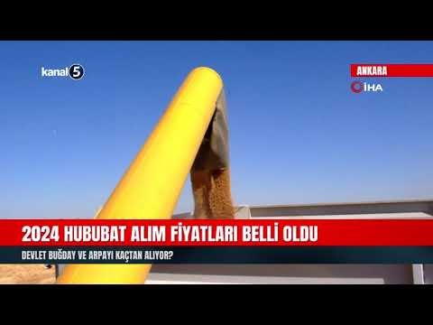 2024 Hububat Alım Fiyatları Belli Oldu