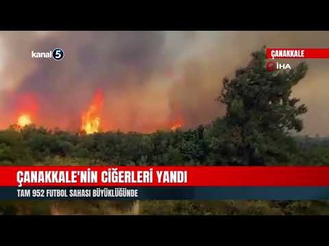 Çanakkale’nin Ciğerleri Yandı | Tam 952 Futbol Sahası Büyüklüğünde
