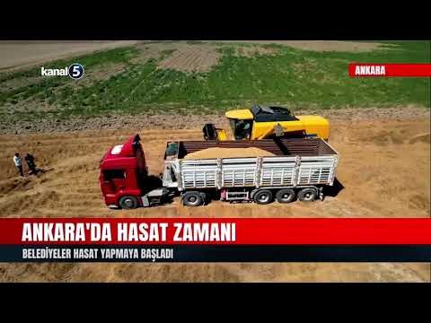 Ankara’da Hasat Zamanı | Belediyeler Hasat Yapmaya Başladı