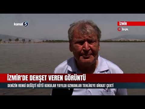 İzmir’de Dehşet Veren Görüntü | Denizin Rengi Değişti Kötü Kokular Yayıldı