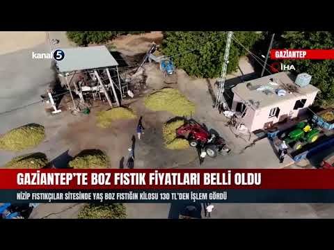 Gaziantep’te Boz Fıstık Fiyatları Belli Oldu