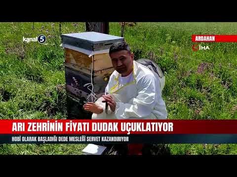 Arı Zehrinin Fiyatı Dudak Uçuklatıyor