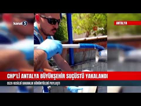 CHP’li Antalya Büyükşehir Suçüstü Yakalandı | Ceza kesildi Bakanlık Görüntüleri Paylaştı
