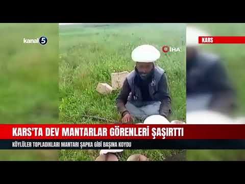 Kars’ta Dev Mantarlar Görenleri Şaşırttı
