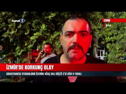 İzmir’de Korkunç Olay | Kıraathanede Oturanların Üzerine Ağaç Dalı Düştü; 2’si Ağır 9 Yaralı