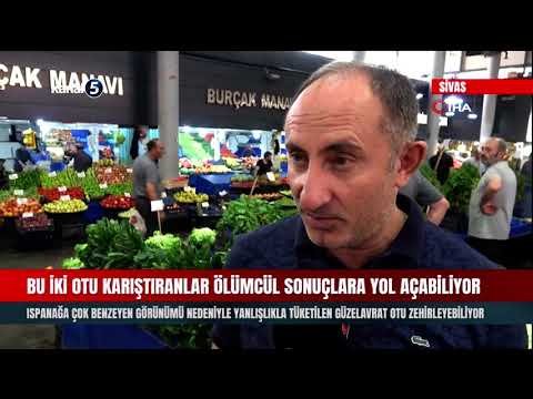 Bu İki Otu Karıştıranlar Ölümcül Sonuçlara Yol Açabiliyor