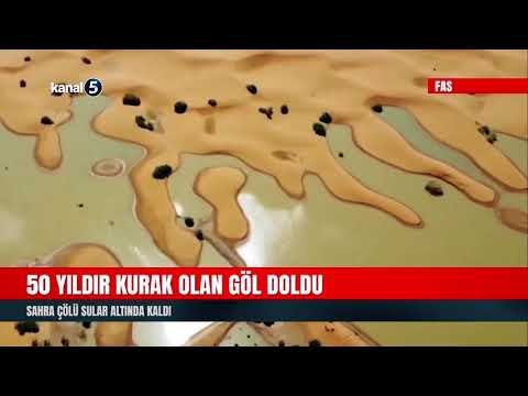 50 Yıldır Kurak Olan Göl Doldu | Sahra Çölü Sular Altında Kaldı