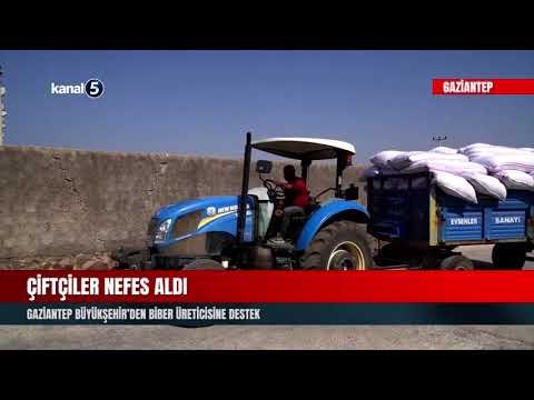 Çiftçiler Nefes Aldı | Gaziantep Büyükşehir’den Biber Üreticisine Destek