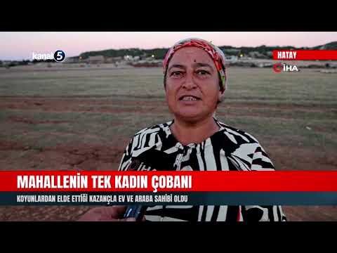 Mahallenin Tek Kadın Çobanı | Koyunlardan Elde Ettiği Kazançla Ev ve Araba Sahibi Oldu