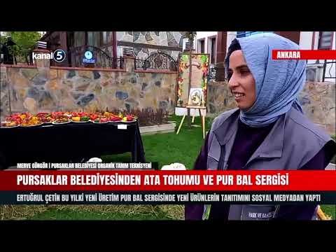 Pursaklar Belediyesinden  Ata Tohumu ve Pur Bal Sergisi