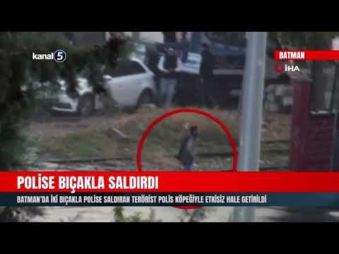 Batman’da İki Bıçakla Polise Saldıran Terörist Polis Köpeğiyle Etkisiz Hale Getirildi