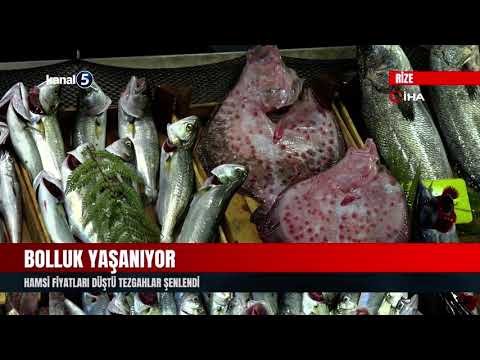Bolluk Yaşanıyor | Hamsi Fiyatları Düştü Tezgahlar Şenlendi