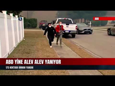 ABD yine alev alev yanıyor! | 175 noktada orman yangını