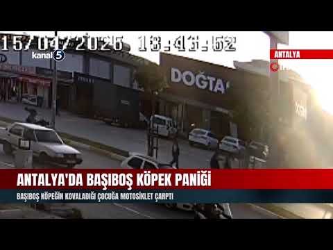 Antalya’da Başıboş Köpek Paniği | Başıboş Köpeğin Kovaladığı Çocuğa Motosiklet Çarptı