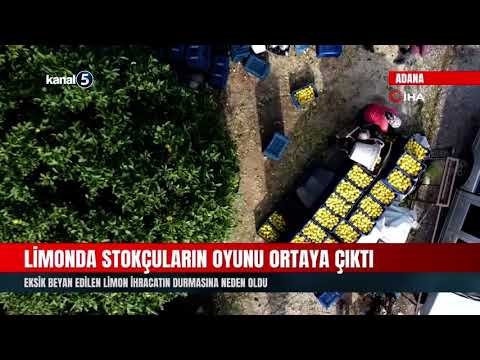 Limonda Stokçuların Oyunu Ortaya Çıktı | Eksik Beyan Edilen Limon İhracatın Durmasına Neden Oldu