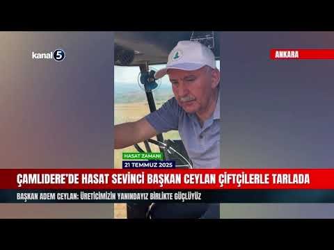 Çamlıdere’de Hasat Sevinci | Başkan Ceylan Çiftçilerle Tarlada